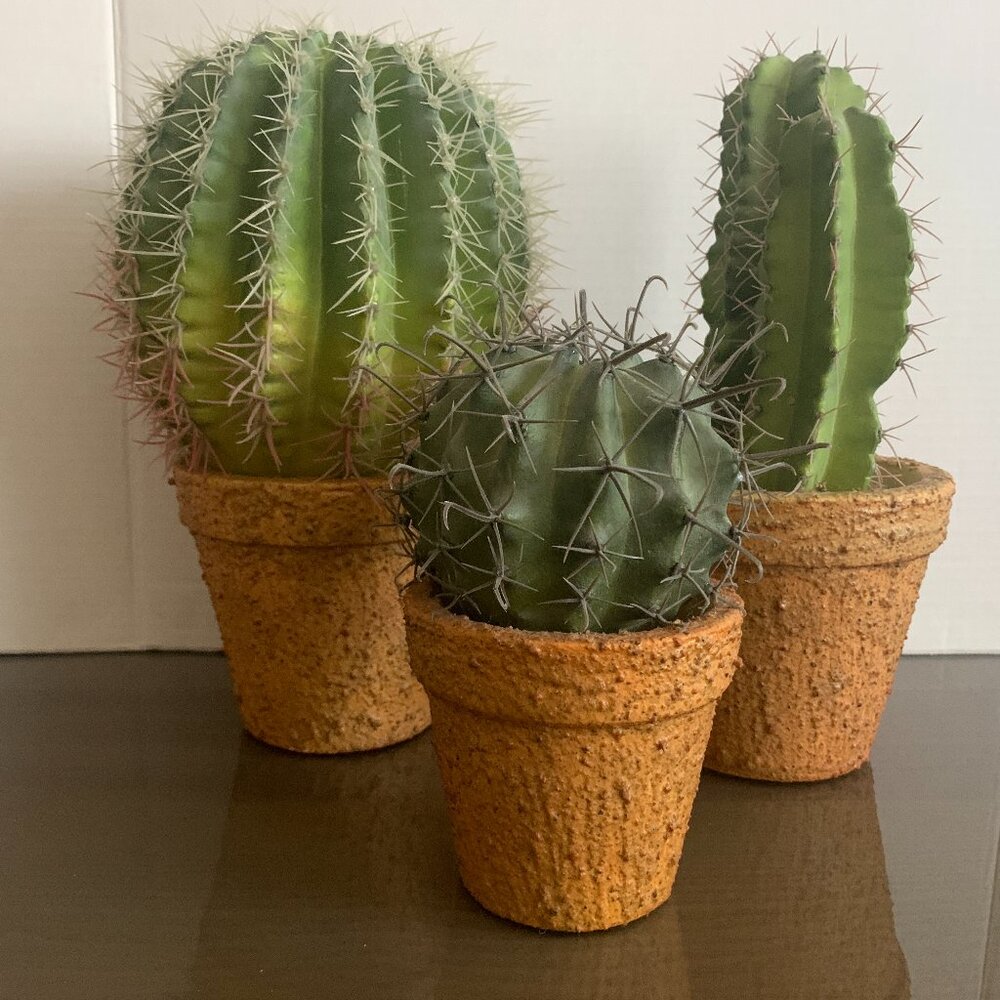 Artificial cactus plants - Set of 3